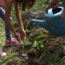Saskia helping plant new trees as a symbol of new chapters for the school and village